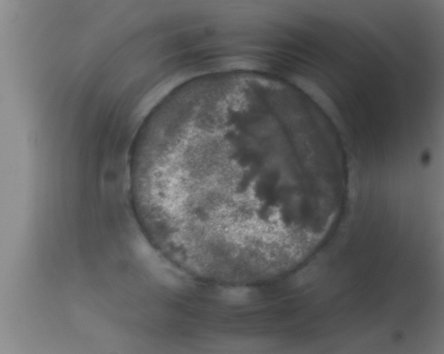 X0000113931031200910161846