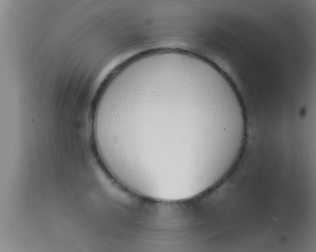 X0000113931032200910161846