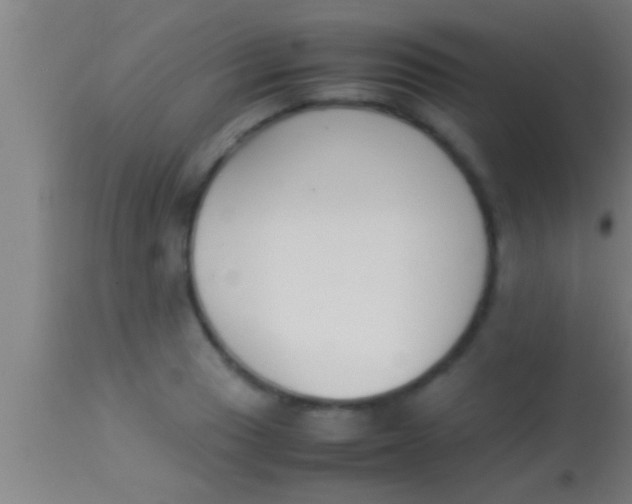 X0000113931033200910161846