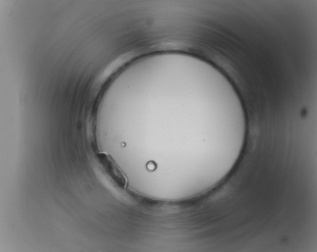 X0000113931034200910161846