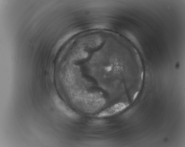 X0000113931035200910161846