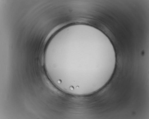 X0000113931036200910161846