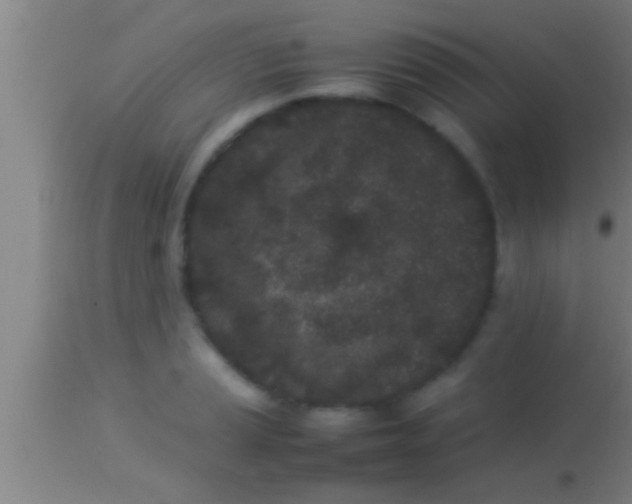 X0000113931037200910161846