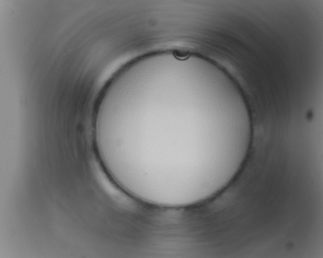 X0000113931038200910161846