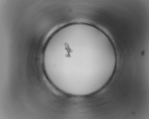 X0000113931040200910161846