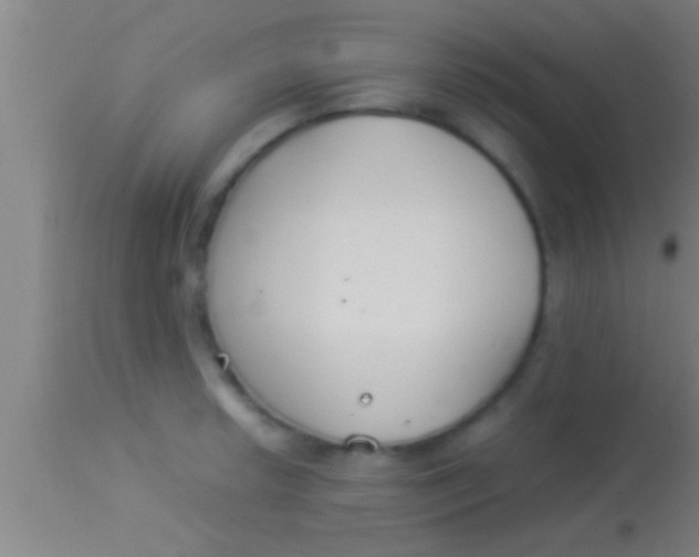 X0000113931042200910161846