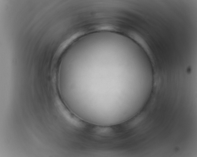 X0000113931043200910161846