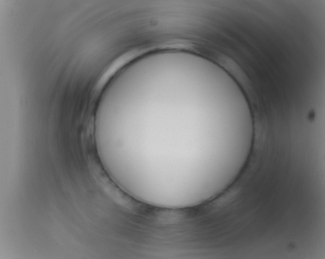 X0000113931044200910161846