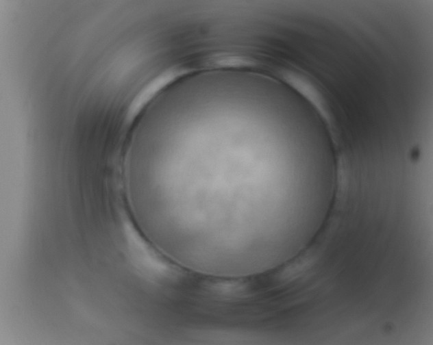 X0000113931047200910161846