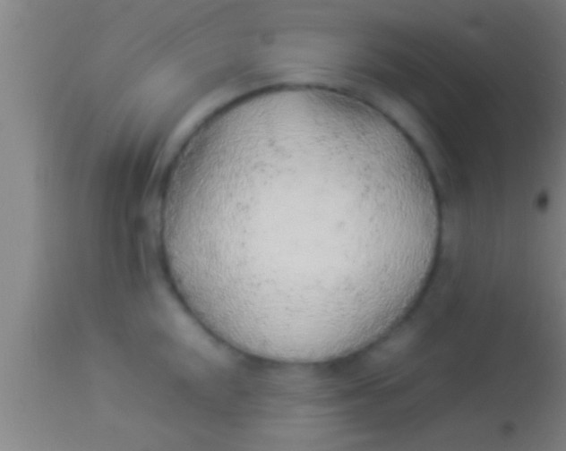 X0000113931048200910161846