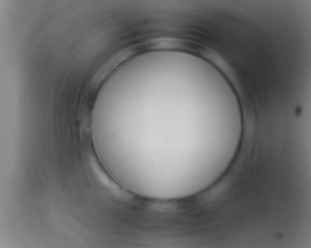 X0000113931049200910161846