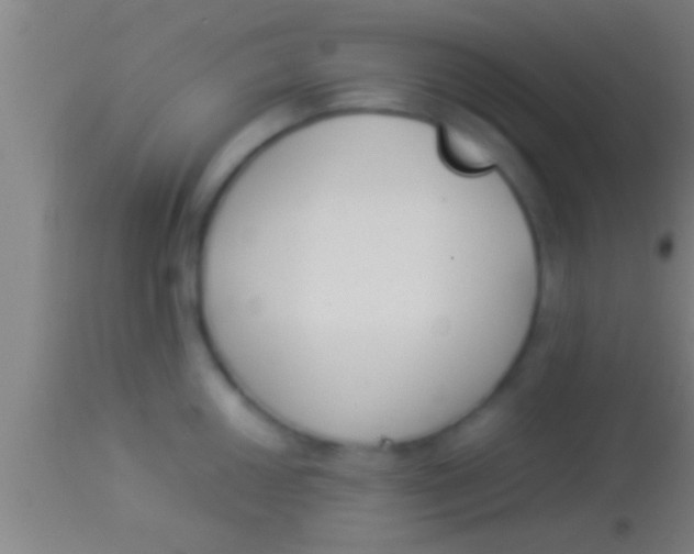 X0000113931050200910161846