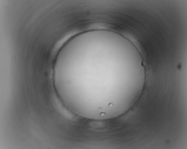 X0000113931051200910161846