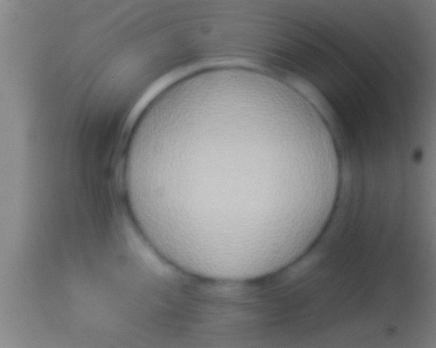 X0000113931052200910161846