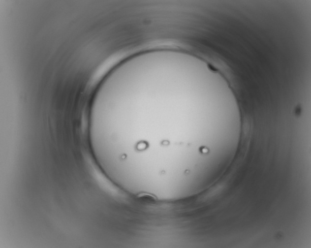 X0000113931054200910161846