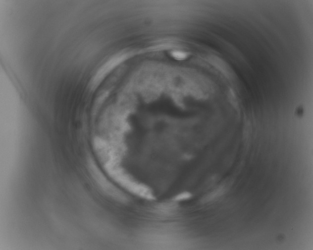 X0000113931055200910161846