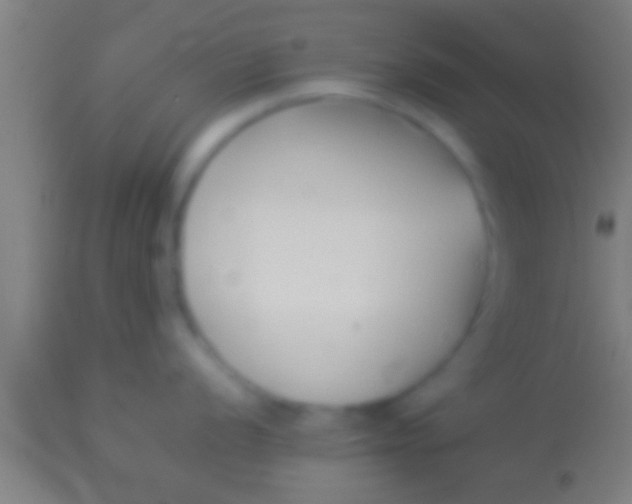 X0000113931056200910161846