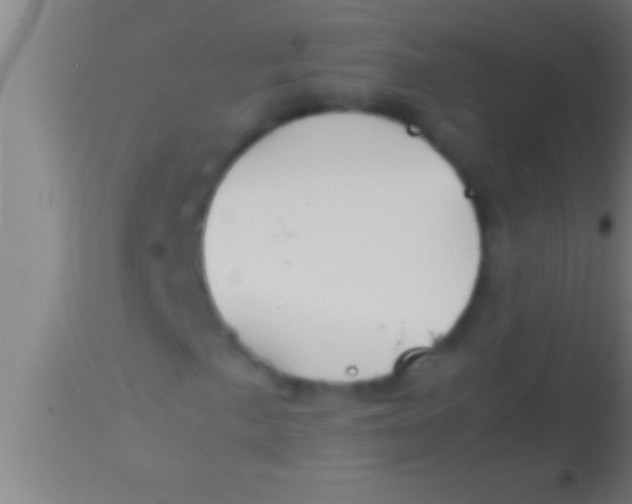 X0000113931057200910161845