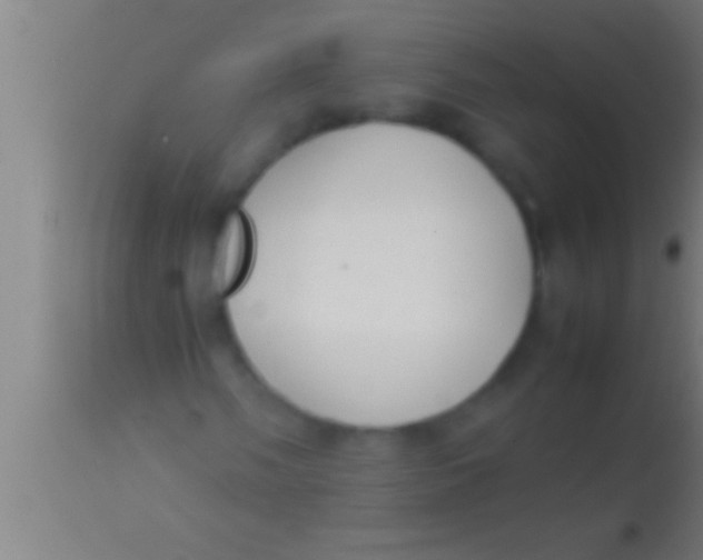 X0000113931058200910161845