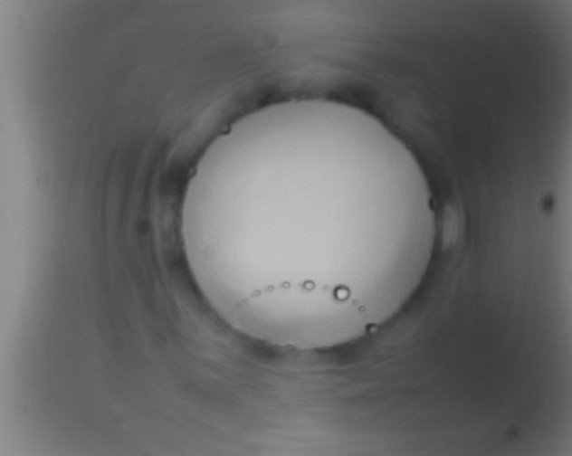 X0000113931059200910161845