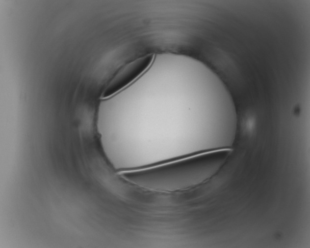 X0000113931060200910161845