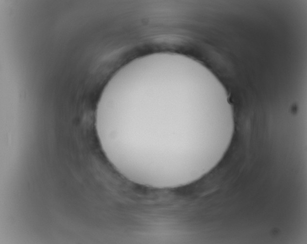 X0000113931061200910161845