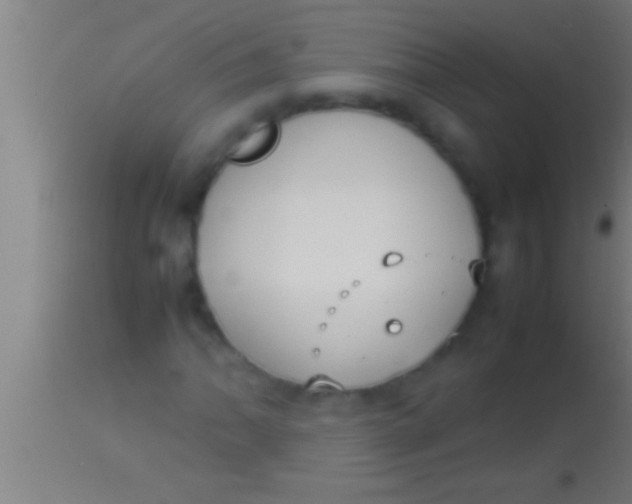 X0000113931062200910161845