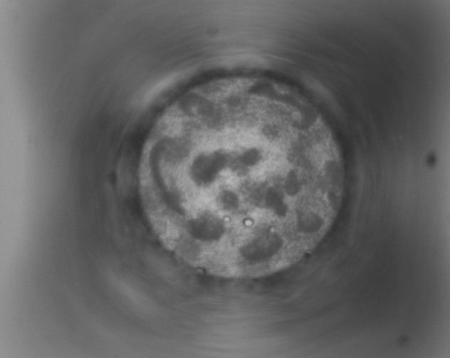 X0000113931063200910161845