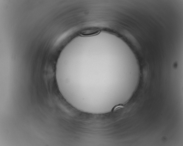 X0000113931064200910161845