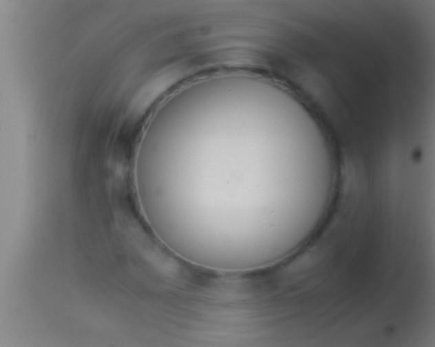 X0000113931065200910161845