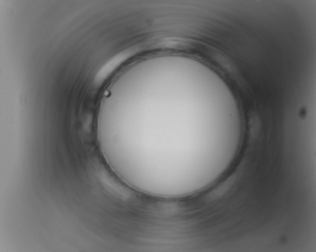 X0000113931066200910161845