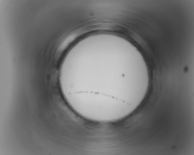 X0000113931067200910161845