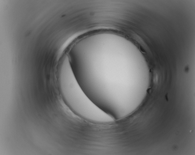 X0000113931068200910161845