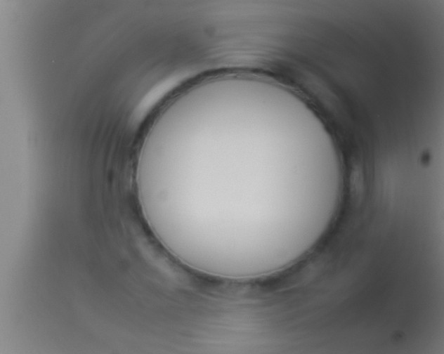 X0000113931069200910161845