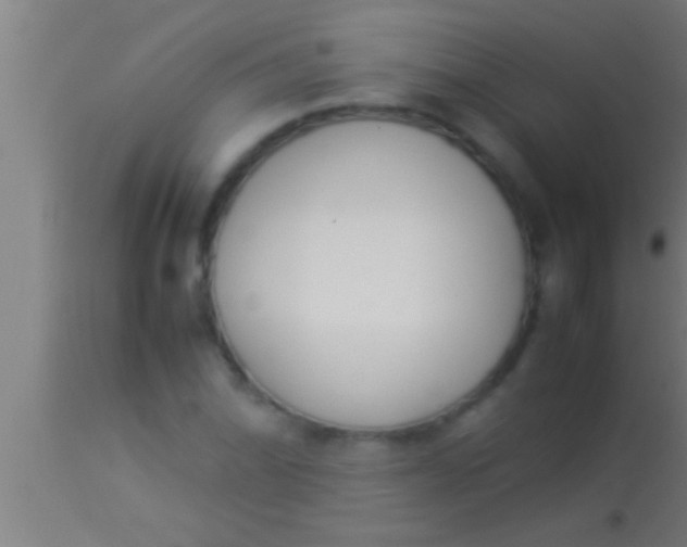 X0000113931070200910161845