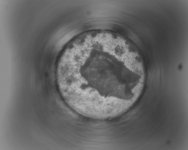 X0000113931071200910161845