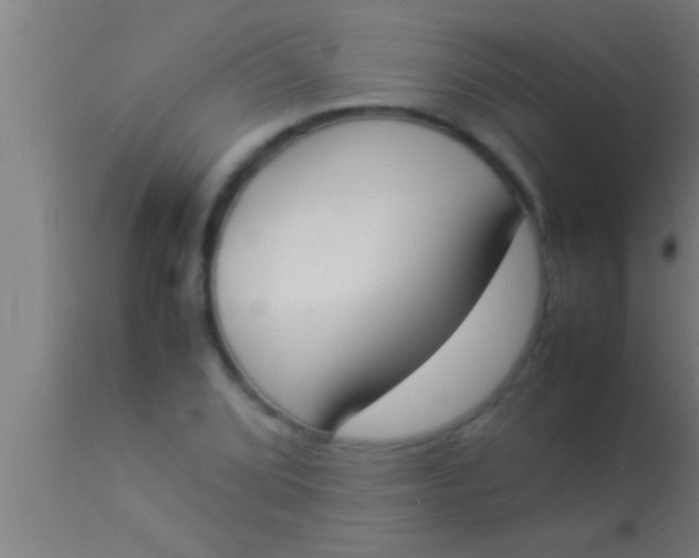 X0000113931072200910161845