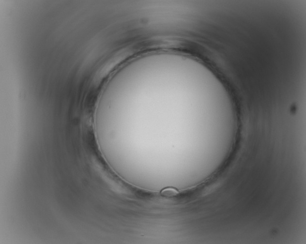 X0000113931073200910161845