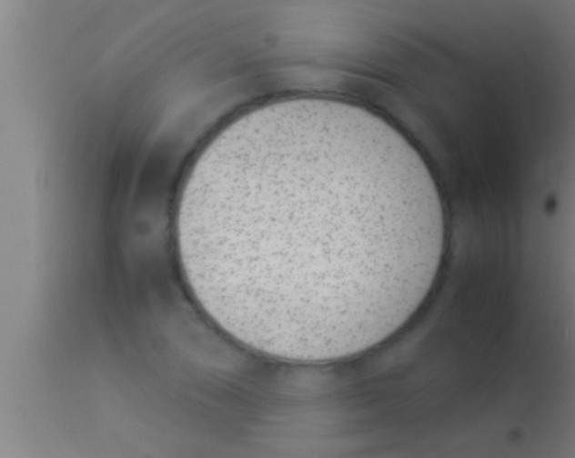 X0000113931074200910161845