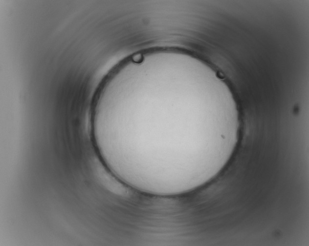 X0000113931076200910161845