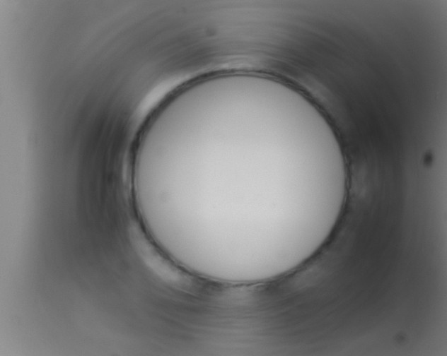 X0000113931078200910161845