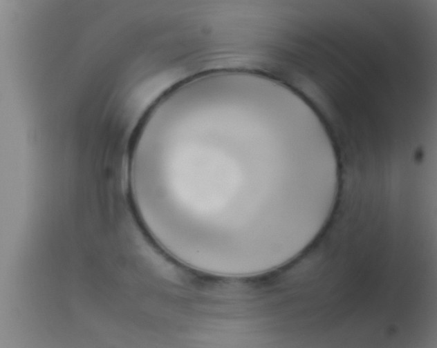 X0000113931079200910161845