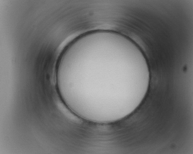 X0000113931080200910161845