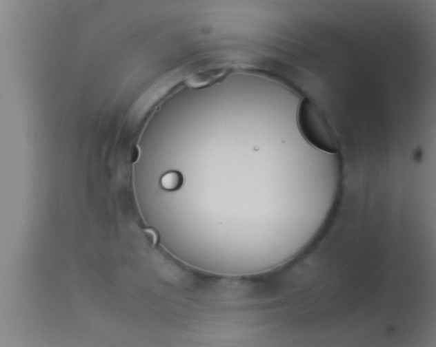 X0000113931081200910161845