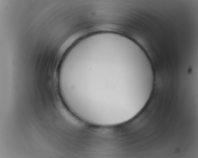 X0000113931082200910161845