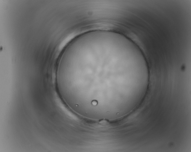 X0000113931083200910161845