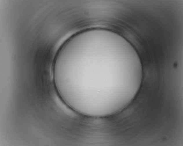 X0000113931084200910161845