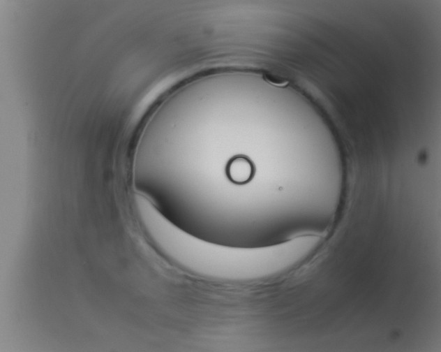 X0000113931085200910161845