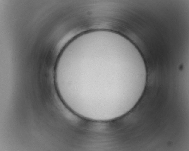 X0000113931086200910161845