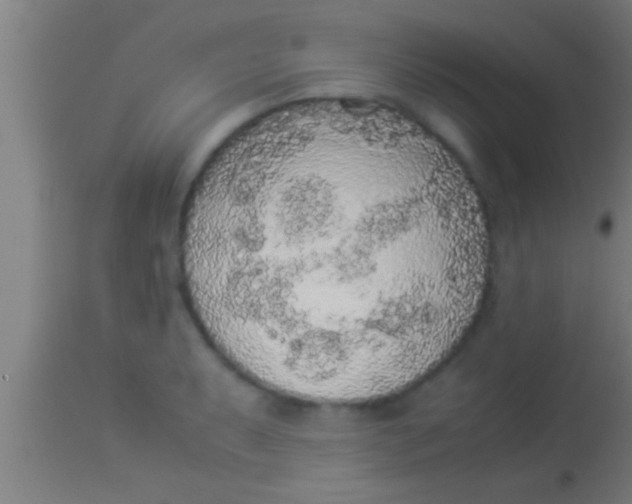 X0000113931087200910161845